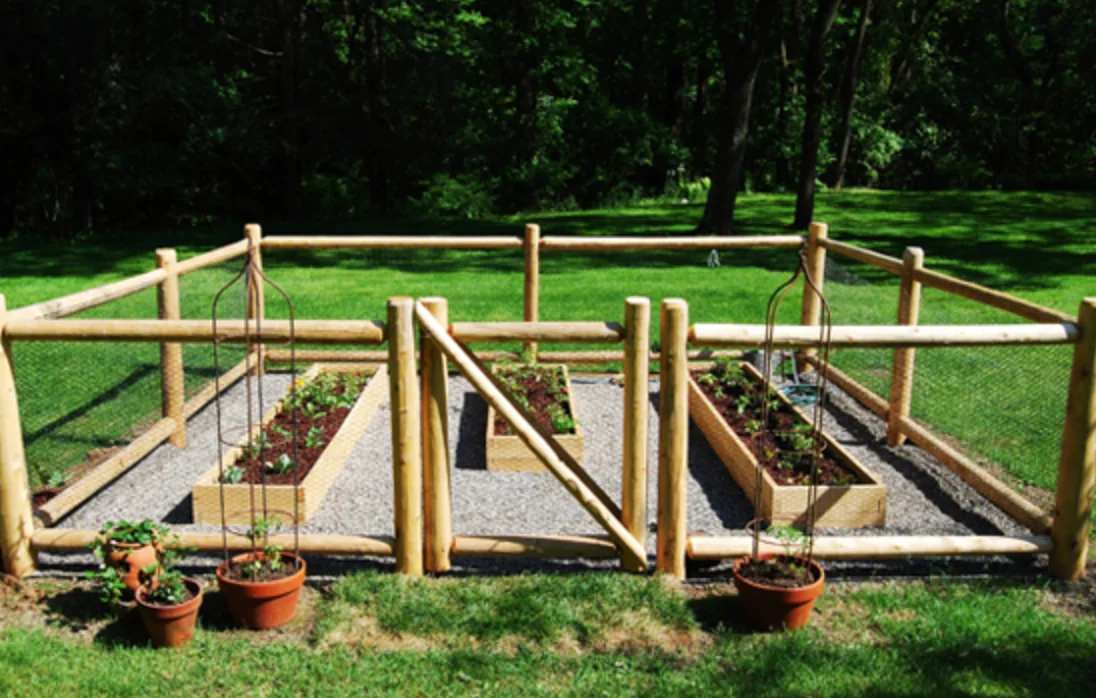 Vegetable garden & split-rail fence